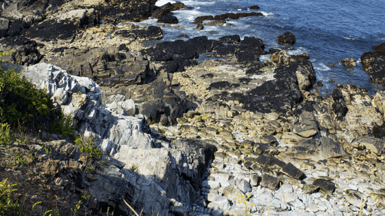 From high up on the bluffs at Monhegan Island, you can look down at miles of rocky Maine coastline. 
