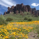 Lost Dutchman State Park (Phoenix, Arizona)