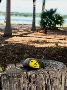 Learn about the painted rock craze sweeping the nation. It is a fun and relatively inexpensive hobby the whole family can enjoy. Paint your rocks and hide them. Then you can join some FaceBook groups to see if anyone posts a picture of yours. 