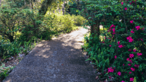 Enjoy the gorgeous scenery along the winding paved walking paths at Rainbow Springs State Park.