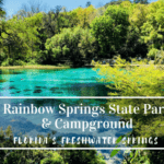 Rainbow Springs State Park is home to a group of freshwater springs that produce more than 400 million gallons of crystal clear water each day! The natural beauty of the springs provides the perfect location for swimming, paddling, kayaking, camping, and more!