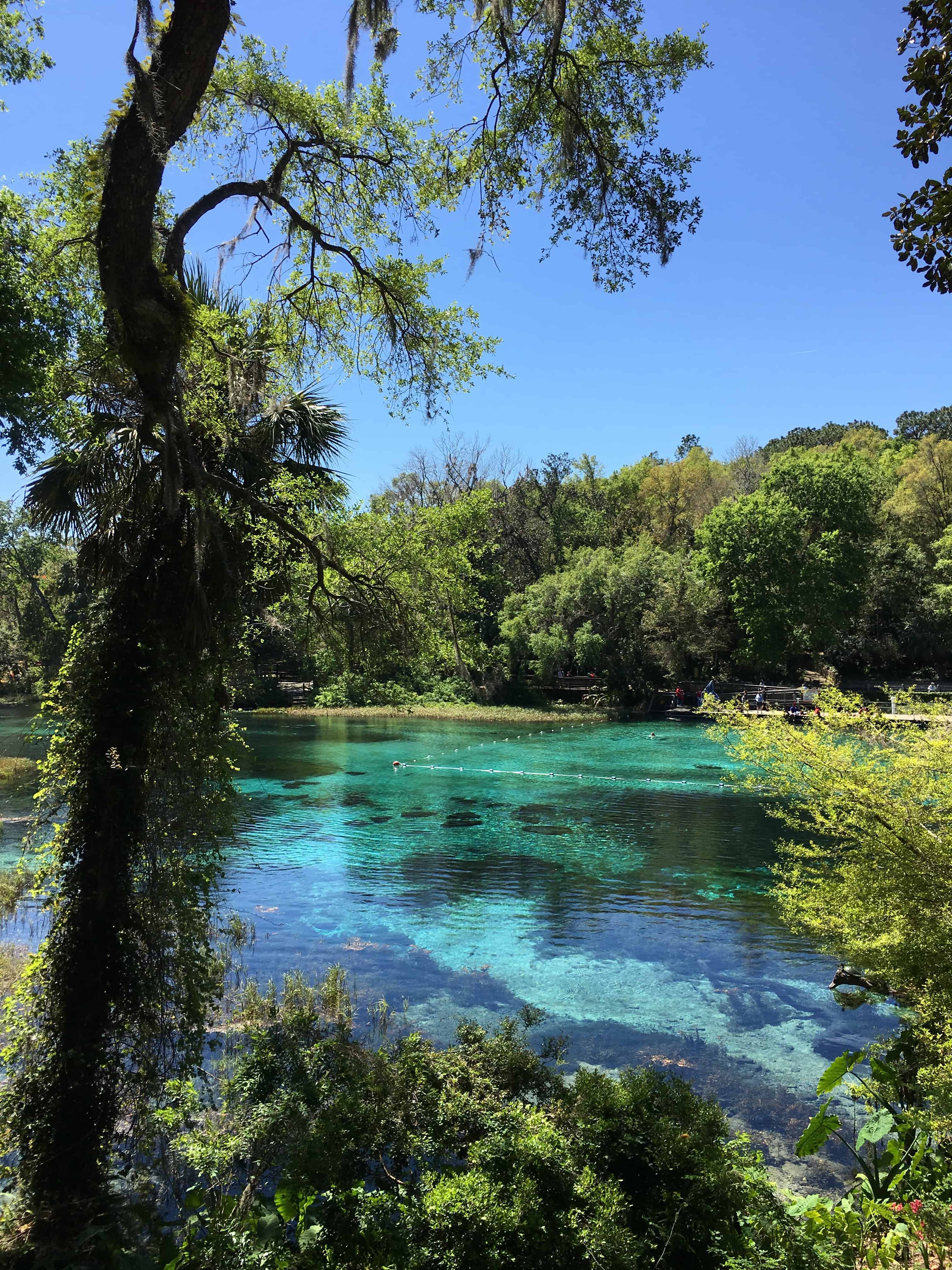 The natural freshwater springs at Rainbow Springs State Park produce more than 400 gallons on crystal clear water per day. Enjoy a dip in the refreshing water or a peaceful walk among nature at this Florida State Park.