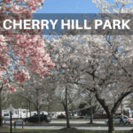 Cherry Hill Park is a luxury RV campground near Washington DC. With tours and a shuttle to the major attractions, you'll enjoy every minute of your visit to our nation's capital.