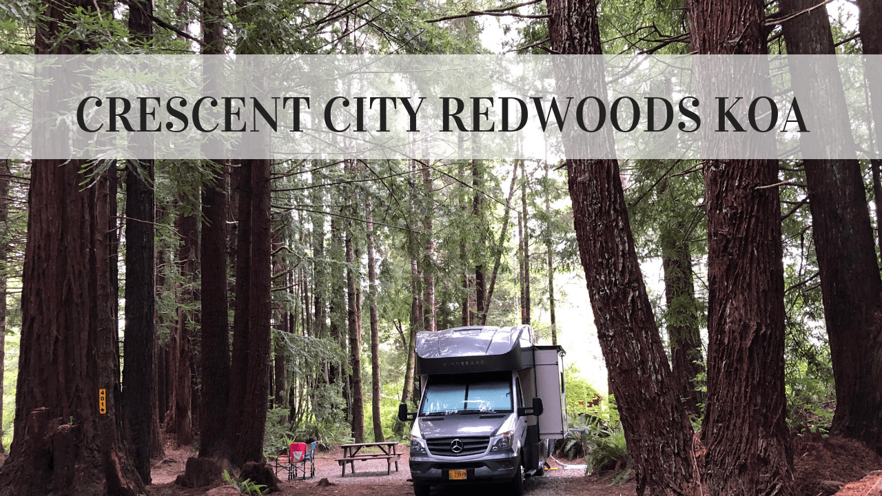 Crescent City Redwoods Koa