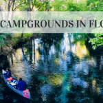 A photo of a calm, crystal clear river showing the sand a rocks on the river bottom and partially reflecting the greens of the trees around it. Two people paddle a canoe along the side of the river. The text reads "Best campgrounds in Florida."