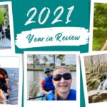 The Chickery's 2021 year in review