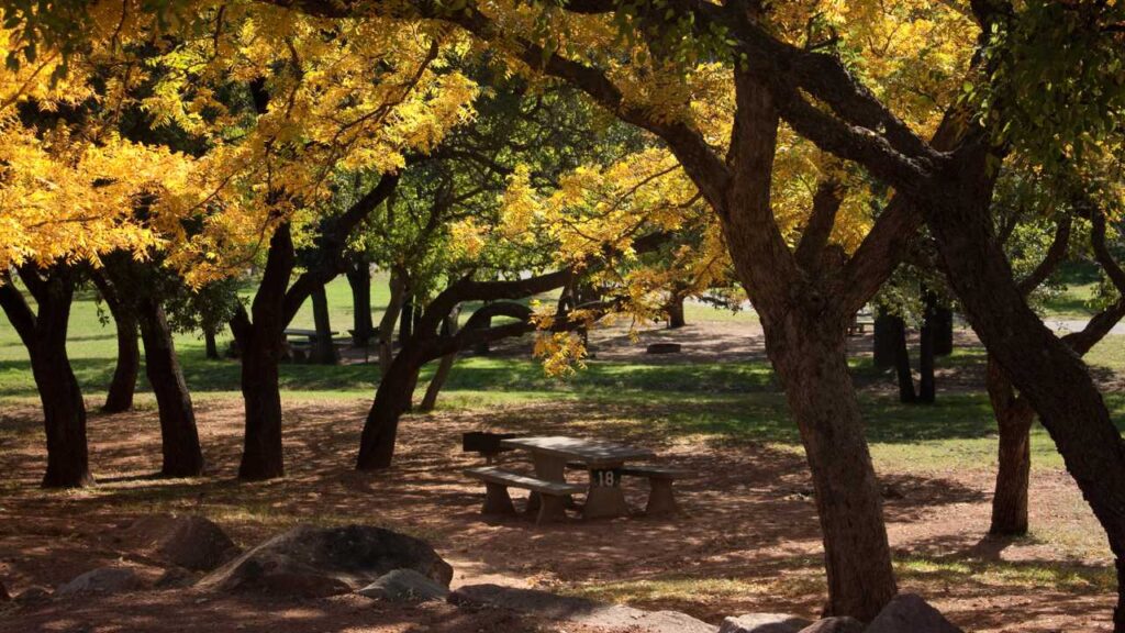 Picnic Table under trees at Great Falls Park in Virginia