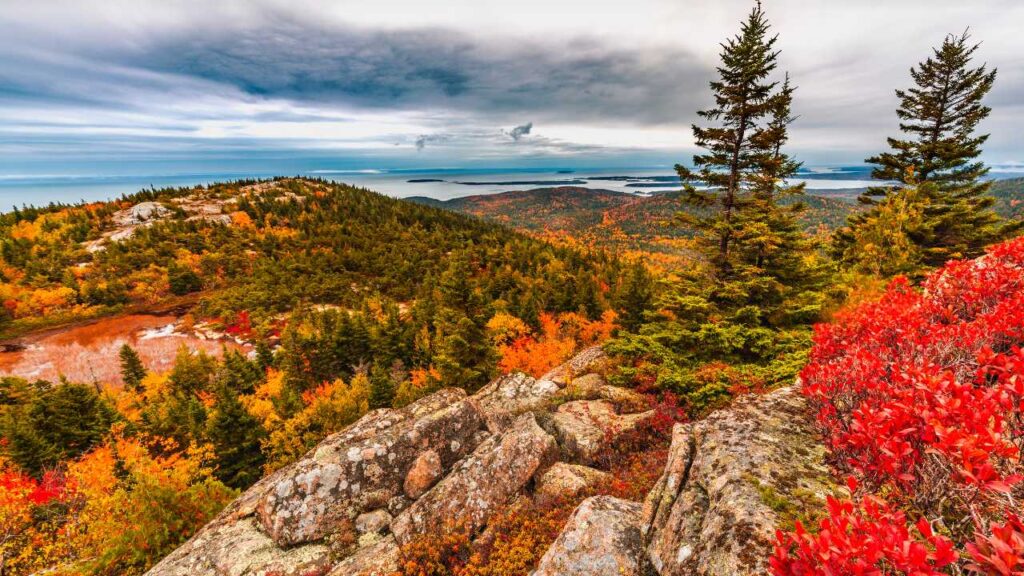 Fall foliage at Acadia National Park in Maine