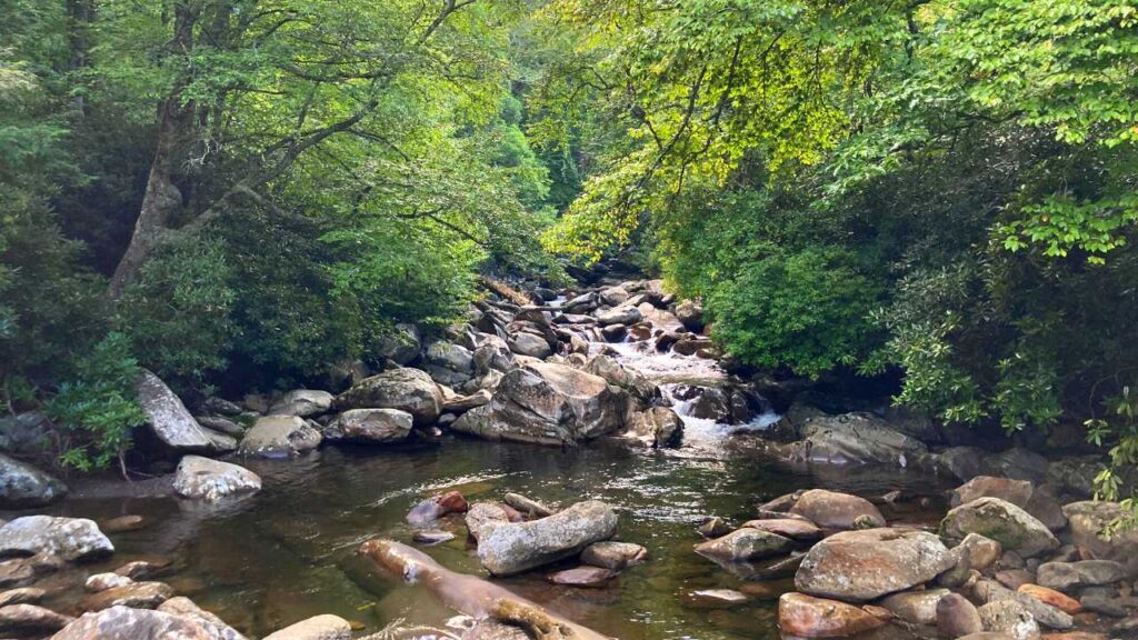 A beautiful river in Great Smoky Mountains National Park