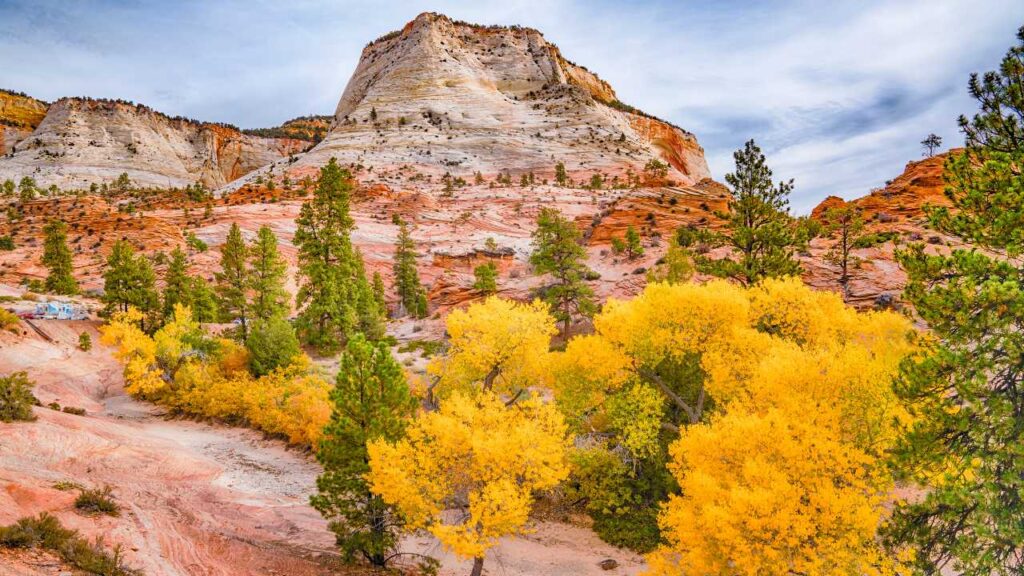 Image of fall foliage at Zion National Park