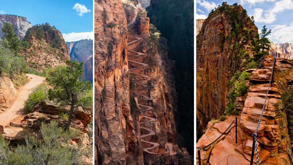 Collage of West Rim Trail, Scout Overlook, and Angels Landing at Zion National Park