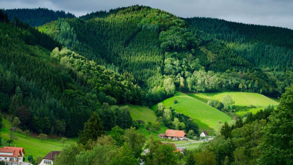 Village in Germany's Black Forest 