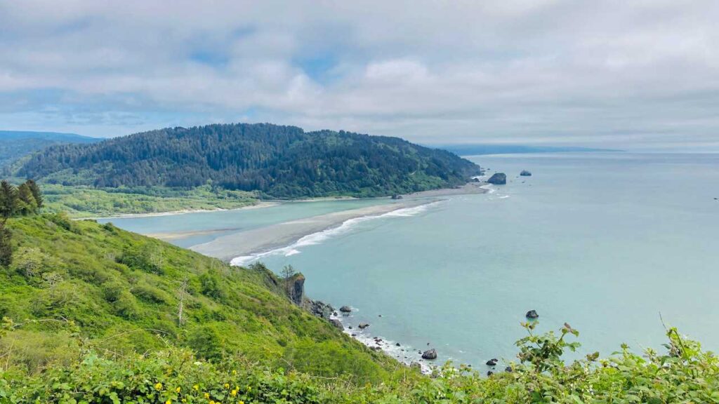 Gold Bluffs Beach on the Pacific Ocean with towering cliffs of Redwoods framing the image