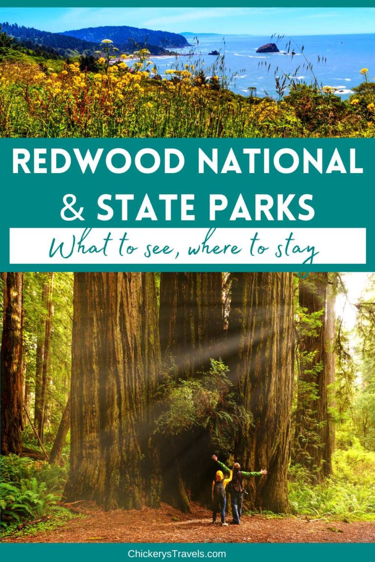 Discover The Beauty Of Redwood National And State Park discover-the-beauty-of-redwood-national-and-state-park
