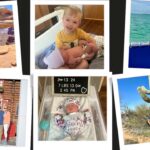 Collage of 2024 travel snapshots