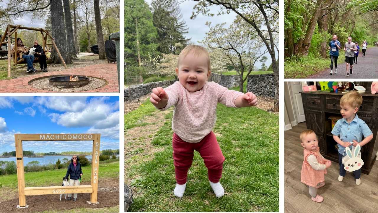 Collage of photos including baby's first steps and Macchicomoco State Park.
