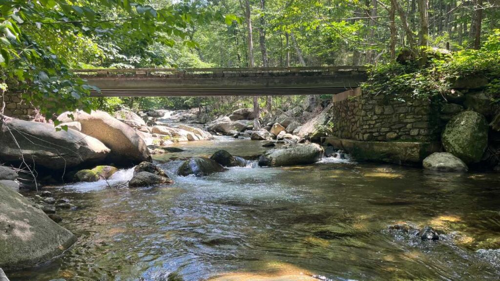 Bridge over a river in the forest