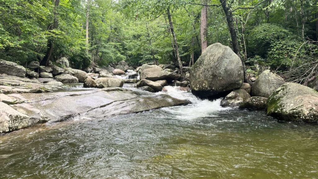 Small waterfall along the river in a forest
