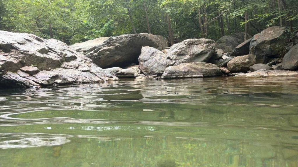 Clear river in the mountains