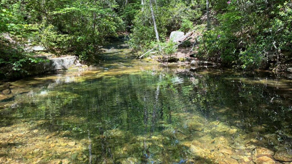 Spring fed mountain swimming hole