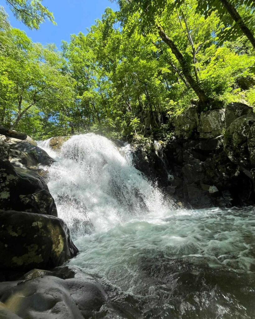 Waterfall in rocky gorge