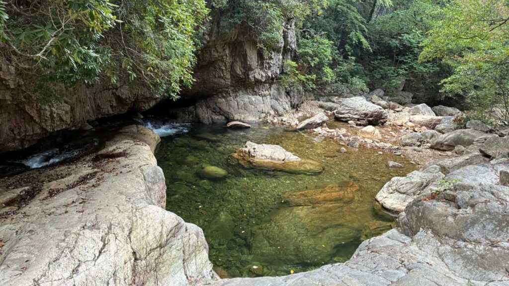 Image of spring fed river in forest